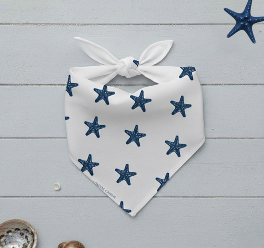 Starfish Themed Dog Bandanna