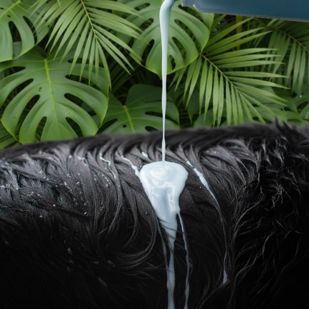 After the Beach Coconut Shampoo & Pink Himalayan Paw Scrub Combo