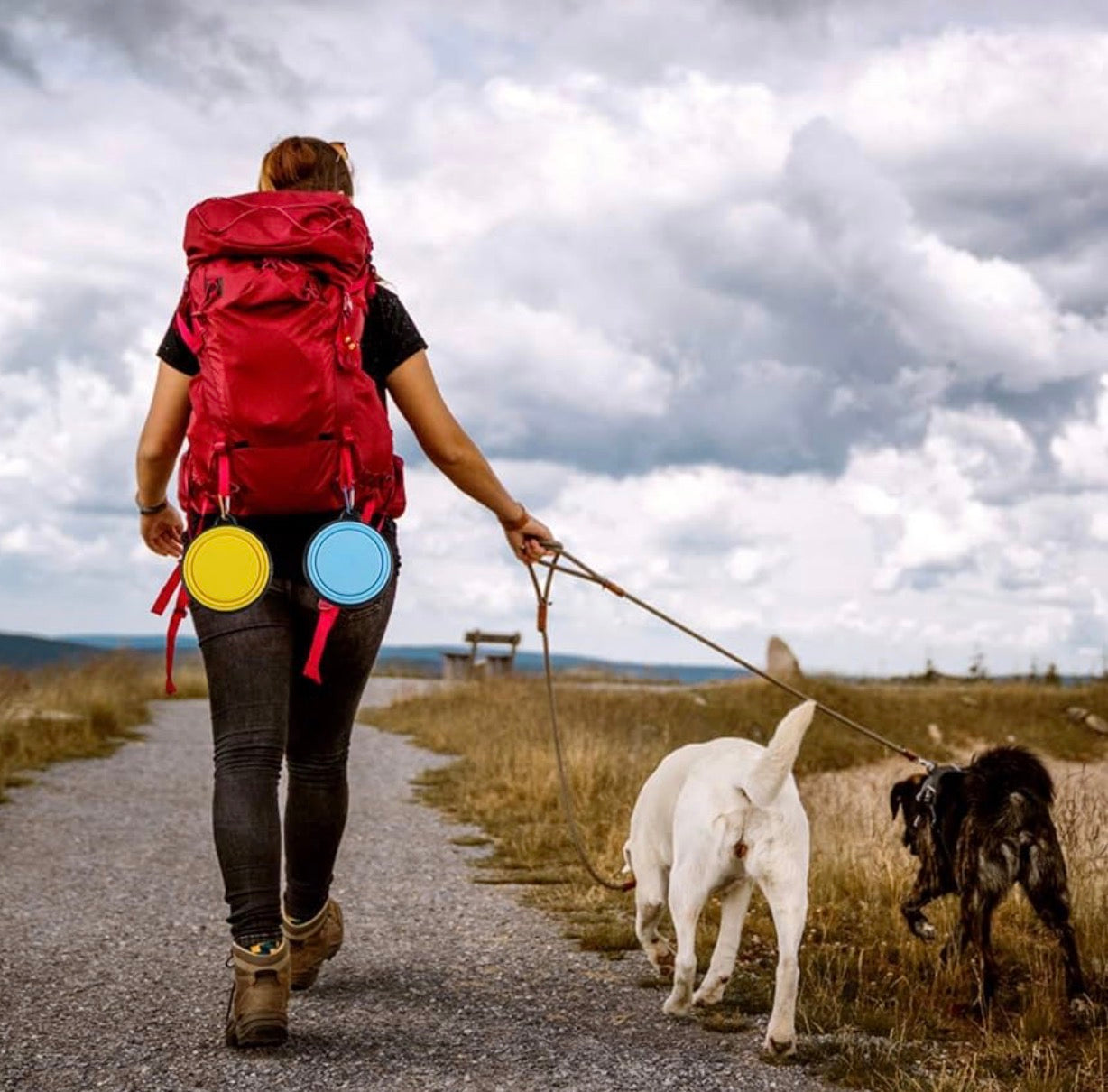 Portable Pop-Up Dog Water/Food Bowl with Clasp