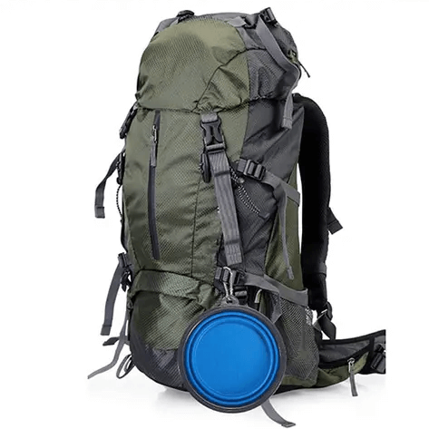 Portable Pop-Up Dog Water/Food Bowl with Clasp
