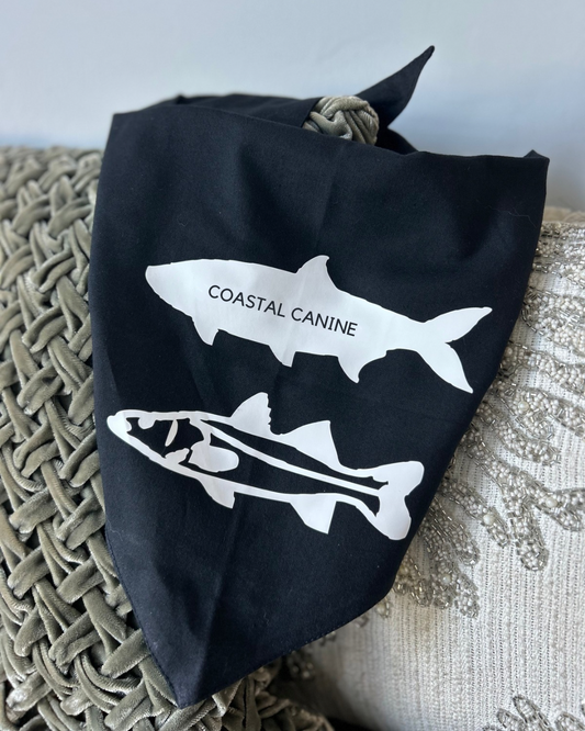 Gear Up for Salty Adventures with Coastal Canine