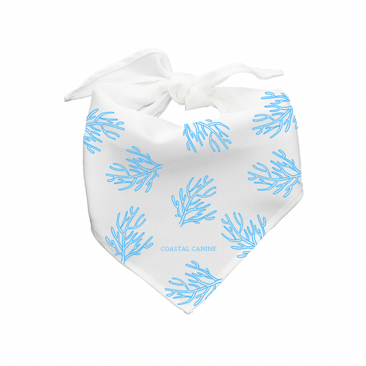 Coral Themed Dog Bandanna