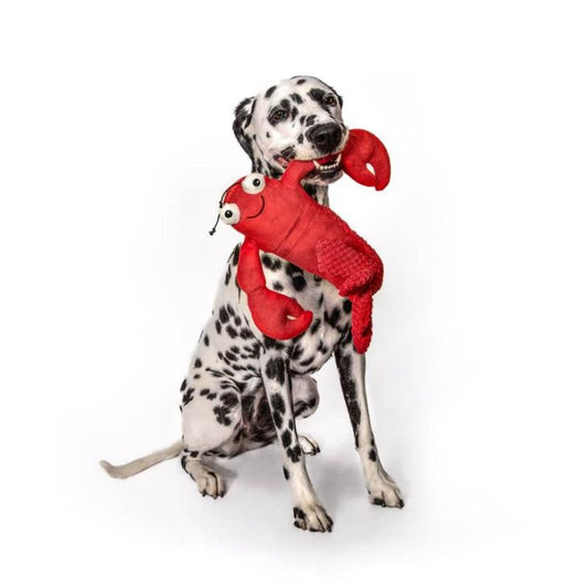 Floppy Lobster Plush Dog Toy